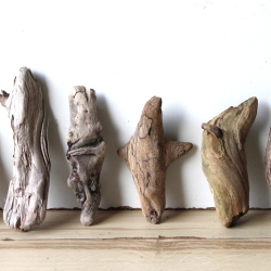 Treibholz Schwemmholz Driftwood 6 kleine Hölzer 13 - 18 cm *PAP*