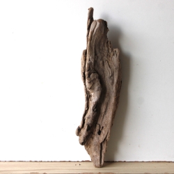 Treibholz Schwemmholz Driftwood 1   Skulptur  52 cm 