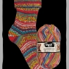 Opal Hundertwasser 4er Edition, 4-fädige Sockenwolle, Farbe 668