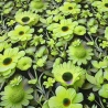 Stoff Viskose Jersey Blumenmuster Blüten grün gelb schwarz bunt