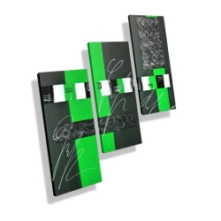 MK1 Art Bild Leinwand Abstrakt Kunst Malerei Acrylbild Grün XL