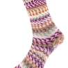 Pro Lana Fjord Socks Multicolor, 4-fädige Sockenwolle, Farbe 481