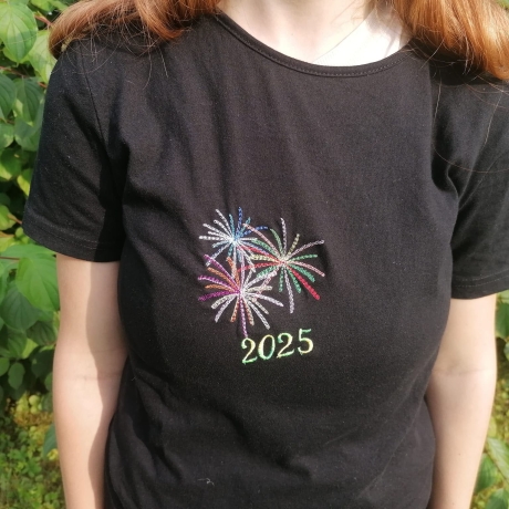 8x Feuerwerk Stickdatei Blumenstecker Lichterdeko stickdirwas