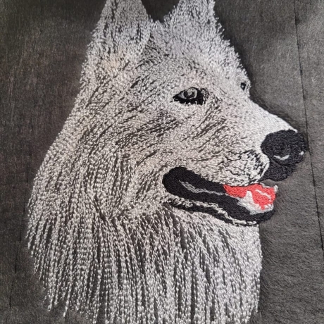 Weißer Schweizer Schäferhund -  Teilstick - 15x20