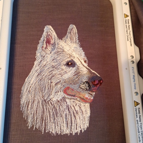 Weißer Schweizer Schäferhund -  Teilstick - 15x20