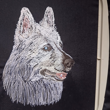 Weißer Schweizer Schäferhund -  Teilstick - 15x20