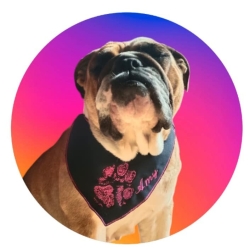 ITH Halstuch für mittelgroße/ große Hunde - 20x28 Rahmen