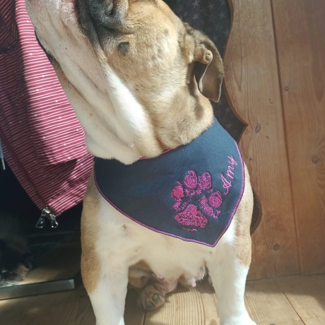 ITH Halstuch für mittelgroße/ große Hunde - 20x28 Rahmen