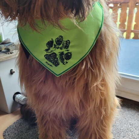 ITH Halstuch für mittelgroße/ große Hunde - 20x28 Rahmen