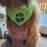 ITH Halstuch für mittelgroße/ große Hunde - 20x28 Rahmen