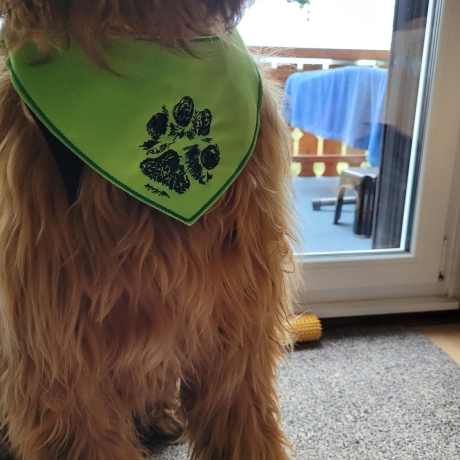 ITH Halstuch für mittelgroße/ große Hunde - 20x28 Rahmen