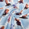 Stoff Baumwolle Jersey Disney Frozen Anna Elsa Olfa Design blau