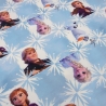 Stoff Baumwolle Jersey Disney Frozen Anna Elsa Olfa Design blau