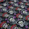Stoff Baumwolle Popeline Totenköpfe Skulls schwarz weiß bunt