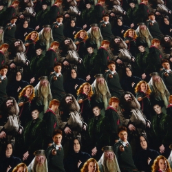 Stoff Baumwolle Jersey Lizenzdruck Harry Potter Hermine Ron sw