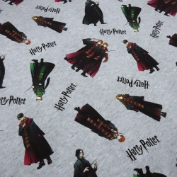 Stoff Baumwolle Jersey Harry Potter Harry Potter Hermine Ron grau