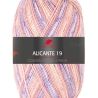 PRO LANA  Alicante 19 4-fädige Sockenwolle Fb. 1008