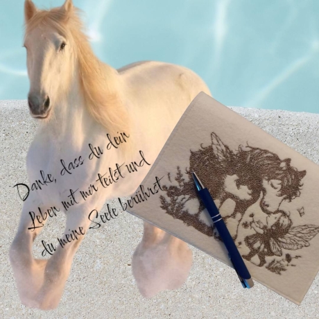 Ferberline Stickdatei Scribble Ponyliebe ab 13x18