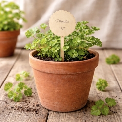 Geschenkbox herbs & love Kräuterschilder Mitbringsel