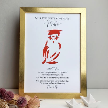 Personalisiertes Geldgeschenk zur Meisterprüfung – Motiv Eule