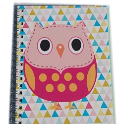 Notizbuch-Skizzenbuch-A6-Eule Geometrie blanko