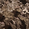 Stoff Viskose Jersey Blumen Blätter braun beige sand schwarz