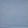Stoff Baumwolle Jersey 1 cm Streifen Design blau grau gestreift
