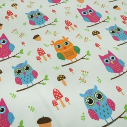 Stoff Baumwolle Jersey Eulen hellgrün orange blau pink bunt