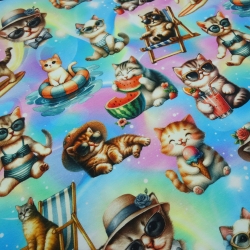 Stoff Baumwolle Jersey mit Katzen Kätzchen Design multicolor bunt