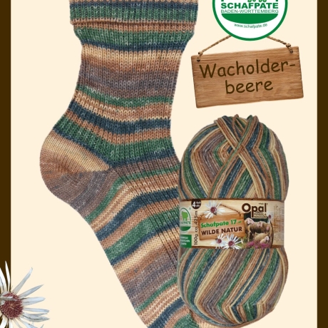 Opal Schafpate 17 Wilde Natur, 4-fädige Sockenwolle, Farbe 11596