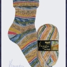Opal Vincent van Gogh, 4-fädige Sockenwolle, Farbe 5430