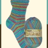 Opal Friendship, 6-fädige Sockenwolle, Farbe 11566