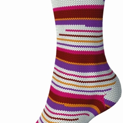 Fortissima color Campus Line, 4-fäd Sockenwolle, Fb 654 Harvard