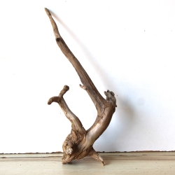 Treibholz Schwemmholz Driftwood 1  Wurzel  Terrarium 39 cm hoch