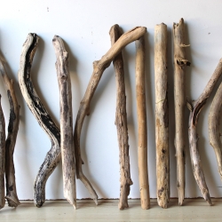 Treibholz Schwemmholz Driftwood 11  Äste  47 - 56cm *GHA*