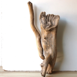 Treibholz Schwemmholz Driftwood 1 knorrige XXL Wurzel  75 cm 