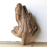 Treibholz Schwemmholz Driftwood 1 knorrige  Skulptur  28 cm 