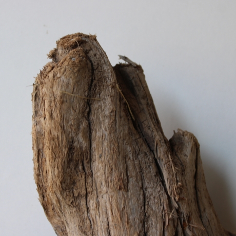 Treibholz Schwemmholz Driftwood 1 knorrige  Skulptur  28 cm 