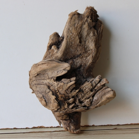 Treibholz Schwemmholz Driftwood 1 knorrige  Skulptur  28 cm 