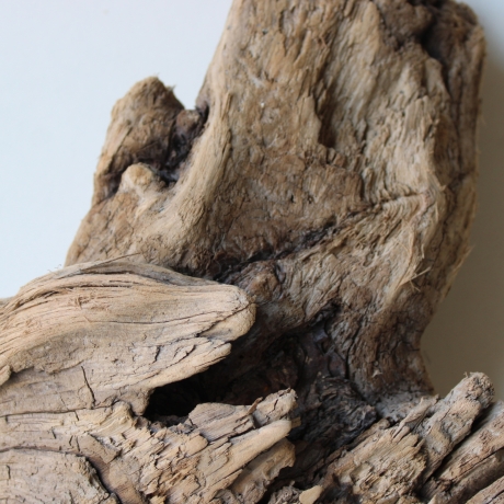 Treibholz Schwemmholz Driftwood 1 knorrige  Skulptur  28 cm 