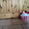 COOL!!! Türstopper Muffin ca.1,5kg rosa