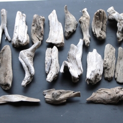 Treibholz Schwemmholz Driftwood 30 größere Minis  11-17cm *E10*