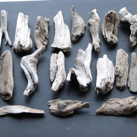 Treibholz Schwemmholz Driftwood 30 größere Minis  11-17cm *E10*