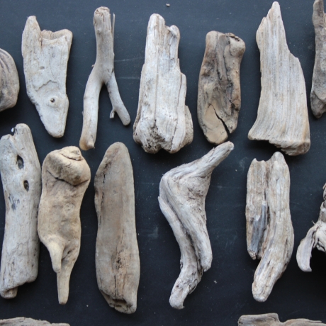 Treibholz Schwemmholz Driftwood 30 größere Minis  11-17cm *E10*