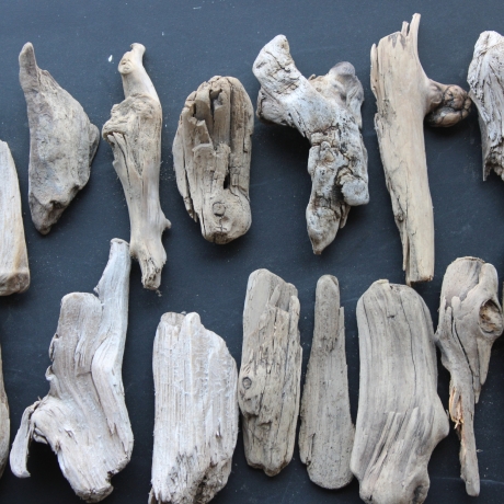 Treibholz Schwemmholz Driftwood 30 größere Minis  11-17cm *E10*