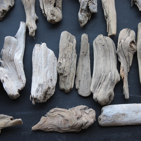 Treibholz Schwemmholz Driftwood 30 größere Minis  11-17cm *E10*