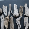 Treibholz Schwemmholz Driftwood 30 größere Minis  11-17cm *E10*