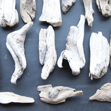 Treibholz Schwemmholz Driftwood 30 größere Minis  11-17cm *E10*