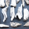 Treibholz Schwemmholz Driftwood 30 größere Minis  11-17cm *E10*