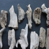 Treibholz Schwemmholz Driftwood 30 größere Minis  11-17cm *E10*